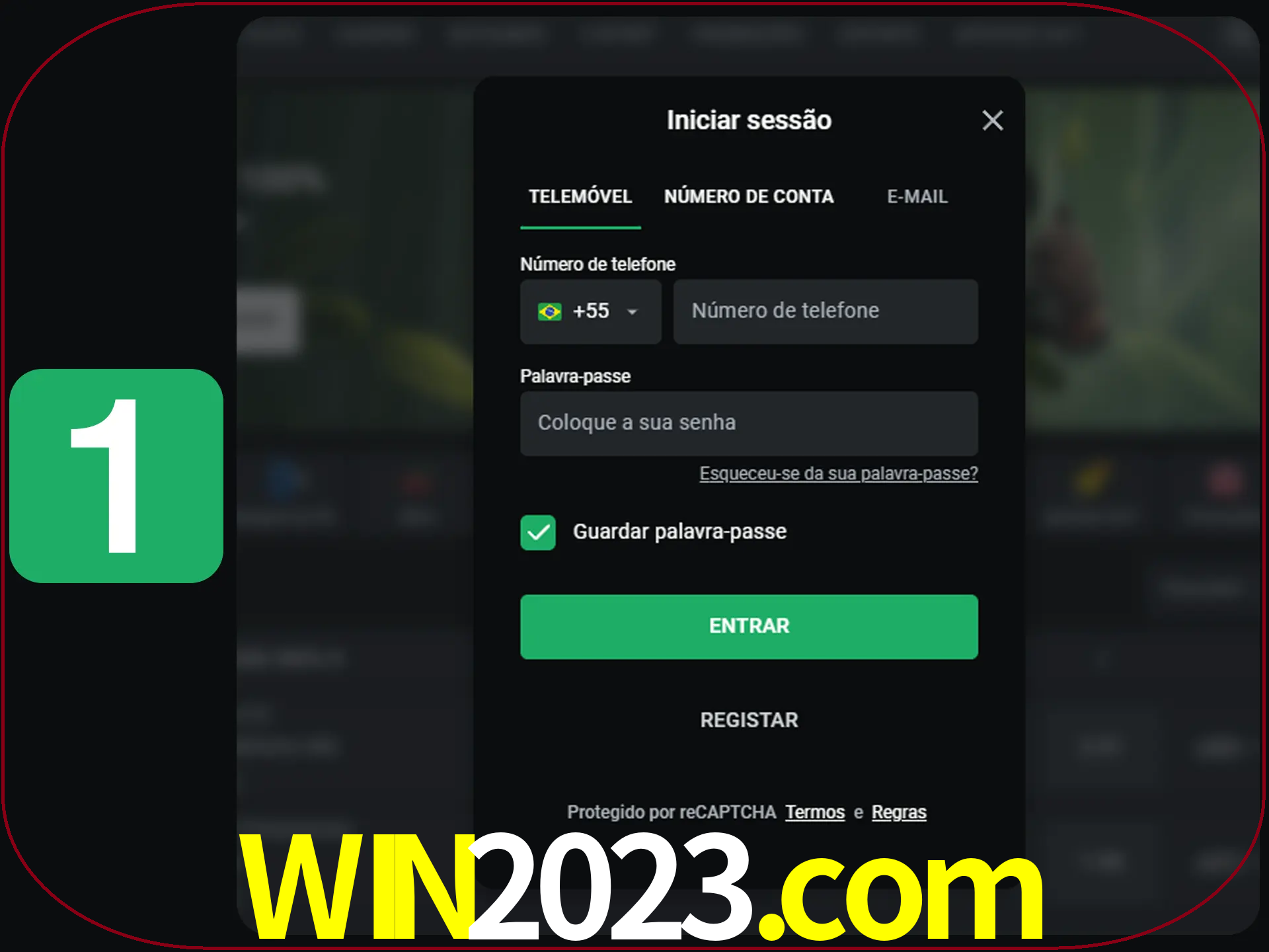 Clique no botão Entrar.